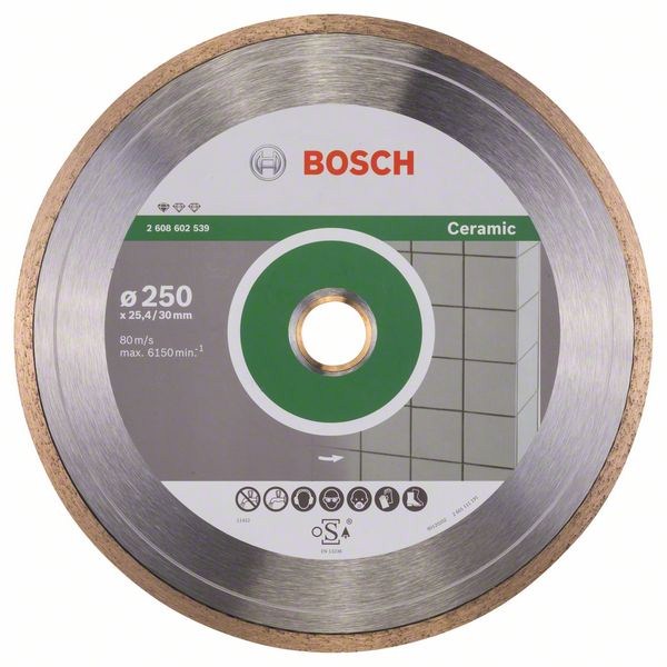 Алмазный диск BOSCH 250-30/25,4 круг Ceramic